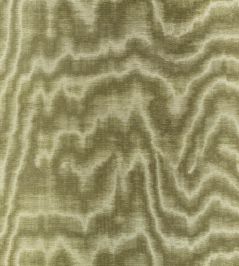 Jacopo Fabric by Zinc Cypress Jacopo Fabric by Zinc Cypress