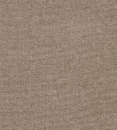 Jaipur Fabric by Clarke & Clarke Bark Jaipur Fabric by Clarke & Clarke Bark