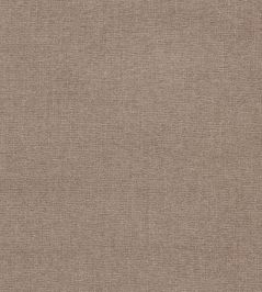 Jaipur Fabric by Clarke & Clarke Fossil Jaipur Fabric by Clarke & Clarke Fossil