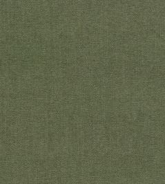 Jaipur Fabric by Clarke & Clarke Moss Jaipur Fabric by Clarke & Clarke Moss
