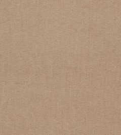 Jaipur Fabric by Clarke & Clarke Otter Jaipur Fabric by Clarke & Clarke Otter