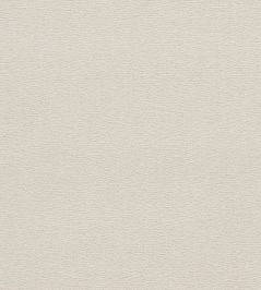 Jaipur Fabric by Clarke & Clarke Pebble Jaipur Fabric by Clarke & Clarke Pebble