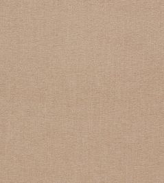 Jaipur Fabric by Clarke & Clarke Putty Jaipur Fabric by Clarke & Clarke Putty