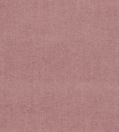 Jaipur Fabric by Clarke & Clarke Rose Jaipur Fabric by Clarke & Clarke Rose