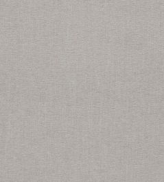 Jaipur Fabric by Clarke & Clarke Silver Jaipur Fabric by Clarke & Clarke Silver