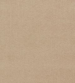 Jaipur Fabric by Clarke & Clarke Taupe Jaipur Fabric by Clarke & Clarke Taupe
