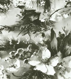 Brume Wallpaper by Jean Paul Gaultier Ecru / Noir Brume Wallpaper by Jean Paul Gaultier Ecru / Noir