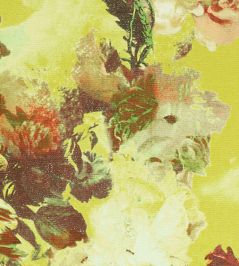 Flamboyant Wallpaper by Jean Paul Gaultier Pollen Flamboyant Wallpaper by Jean Paul Gaultier Pollen