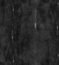 Precieux Wallpaper by Jean Paul Gaultier Noir Precieux Wallpaper by Jean Paul Gaultier Noir