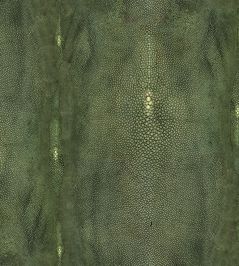Precieux Wallpaper by Jean Paul Gaultier Vert Precieux Wallpaper by Jean Paul Gaultier Vert