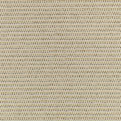 Kahlo Fabric by Villa Nova Carbon Kahlo Fabric by Villa Nova Carbon