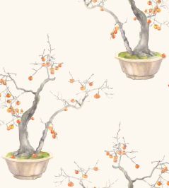 Kaki Persimmon Wallpaper by Cole & Son Ivory & Bergamot Kaki Persimmon Wallpaper by Cole & Son Ivory & Bergamot