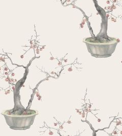 Kaki Persimmon Wallpaper by Cole & Son Silver Kaki Persimmon Wallpaper by Cole & Son Silver