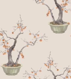 Kaki Persimmon Wallpaper by Cole & Son Violet Patina Kaki Persimmon Wallpaper by Cole & Son Violet Patina