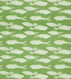 Kaku Fabric by Harlequin Sweet Pea Kaku Fabric by Harlequin Sweet Pea
