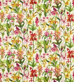 Kalina Fabric by Harlequin Parchment / Forest / Azalea Kalina Fabric by Harlequin Parchment / Forest / Azalea