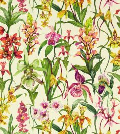 Kalina Wallpaper by Harlequin Parchment / Forest / Azalea Kalina Wallpaper by Harlequin Parchment / Forest / Azalea