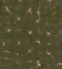 Kanoko Wallpaper by Coordonne Moss Kanoko Wallpaper by Coordonne Moss