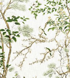 Katsura Fabric by Thibaut Green and White Katsura Fabric by Thibaut Green and White