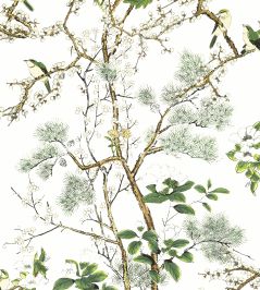Katsura Wallpaper by Thibaut Green and White Katsura Wallpaper by Thibaut Green and White