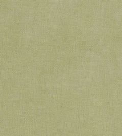 Kauri Fabric by Camengo Olive Kauri Fabric by Camengo Olive