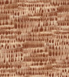 Kawari Wallpaper by Coordonne Amber Kawari Wallpaper by Coordonne Amber