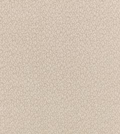 Kitty Fabric by Romo Briosca Kitty Fabric by Romo Briosca