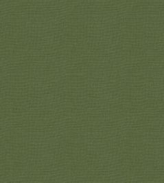 Koki Fabric by Warwick Kiwi Koki Fabric by Warwick Kiwi