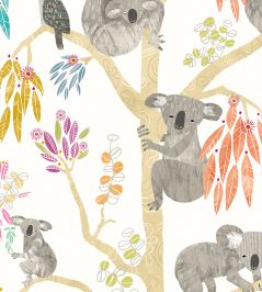 Kooka Koala Wallpaper by Ohpopsi Pumpkin Kooka Koala Wallpaper by Ohpopsi Pumpkin