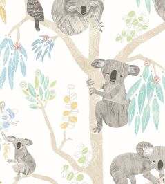 Kooka Koala Wallpaper by Ohpopsi Sky Kooka Koala Wallpaper by Ohpopsi Sky