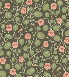 Krasse Wallpaper by Borastapeter Pink Krasse Wallpaper by Borastapeter Pink