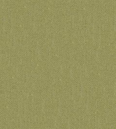 Krayola Fabric by Warwick Apple Krayola Fabric by Warwick Apple
