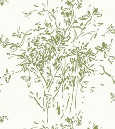 Kurt Wallpaper by Scalamandre Olive Kurt Wallpaper by Scalamandre Olive