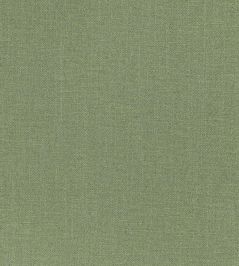 Kyri Fabric by Romo Fern Kyri Fabric by Romo Fern