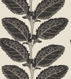 Lacinato Wallpaper by Thibaut Basalt Black Lacinato Wallpaper by Thibaut Basalt Black