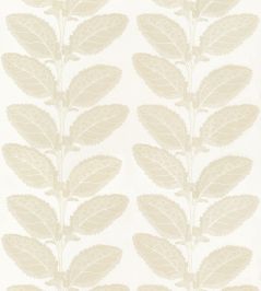 Lacinato Fabric by Thibaut Birch Lacinato Fabric by Thibaut Birch