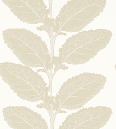Lacinato Wallpaper by Thibaut Birch Lacinato Wallpaper by Thibaut Birch