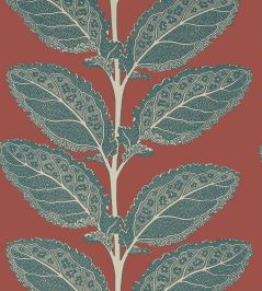 Lacinato Wallpaper by Thibaut Sunbaked Lacinato Wallpaper by Thibaut Sunbaked