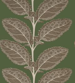 Lacinato Wallpaper by Thibaut Wild Sage Lacinato Wallpaper by Thibaut Wild Sage