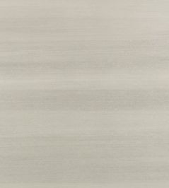 Lacquer Wallpaper by Zinc Silver Grey Lacquer Wallpaper by Zinc Silver Grey