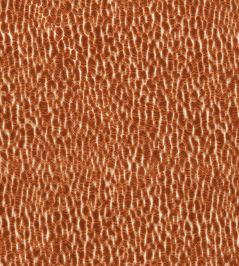 Lacuna Fabric by Harlequin Tiger Lacuna Fabric by Harlequin Tiger