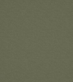 Laundered-Linen Fabric by Warwick Bayleaf Laundered-Linen Fabric by Warwick Bayleaf