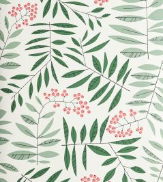 Leaf Berry Wallpaper by MissPrint Rosefinch Leaf Berry Wallpaper by MissPrint Rosefinch