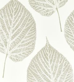 Leaf Wallpaper by Harlequin Chalk / Silver Leaf Wallpaper by Harlequin Chalk / Silver