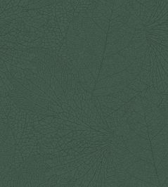 Leaf Vein Wallpaper by Eijffinger Dark Green Leaf Vein Wallpaper by Eijffinger Dark Green