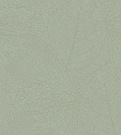 Leaf Vein Wallpaper by Eijffinger Green Leaf Vein Wallpaper by Eijffinger Green