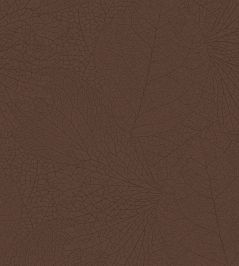 Leaf Vein Wallpaper by Eijffinger Orange/Terracotta Leaf Vein Wallpaper by Eijffinger Orange/Terracotta