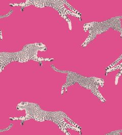 Leaping Cheetah Wallpaper by Scalamandre Bubblegum Leaping Cheetah Wallpaper by Scalamandre Bubblegum