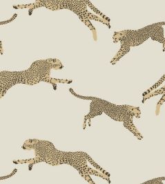 Leaping Cheetah Wallpaper by Scalamandre Dune Leaping Cheetah Wallpaper by Scalamandre Dune