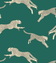Leaping Cheetah Wallpaper by Scalamandre Evergreen Leaping Cheetah Wallpaper by Scalamandre Evergreen